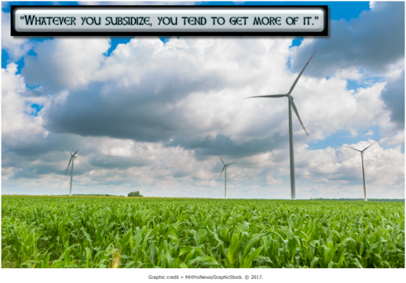 WhateverYouSubsidzeYouGetMoreOfIt-CornFieldsWindTurbinesMHProNewsGraphicsStock686x480