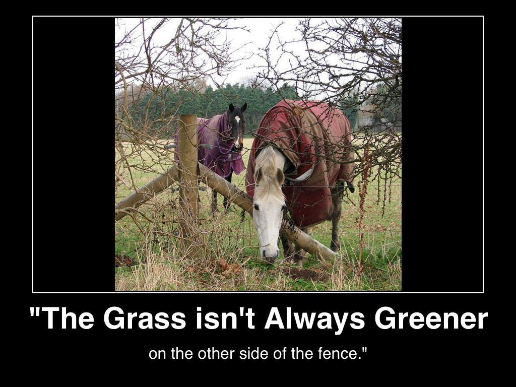the-grass-isn't-always-greener-on-the-other-side-of-the-fence-image-credit=wikicommons-poster(c)2014)lifestyle-factory-homes-llc-mhpronews-com-
