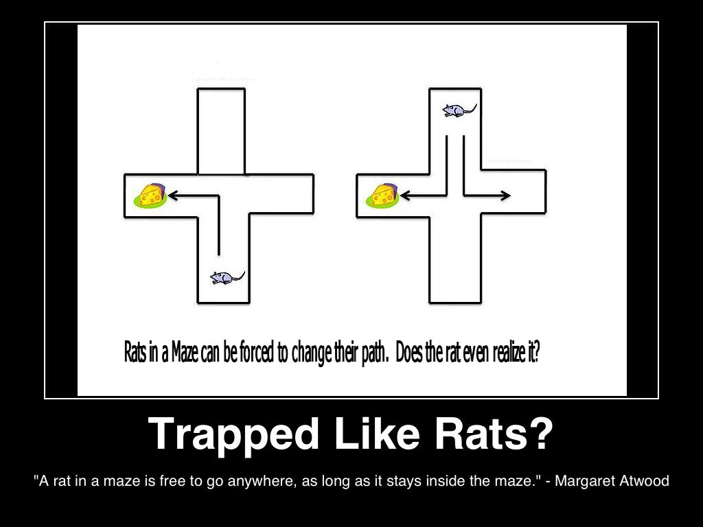 traped-like-rats-a-rat-in-a-maze-is-free-to-go-anywhere--as-long-as-it-stays-inside-the-maze-margeret-atwood-(c)2013lifestyle-factory-homes-llc-posted-masthead-blog.png